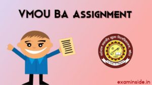 vmou ba assignment front page pdf