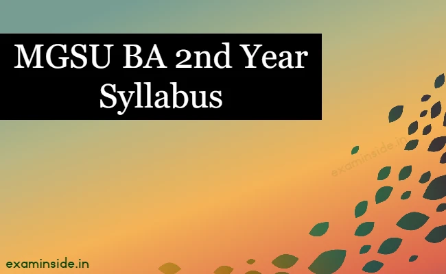 mgsu ba 2nd year syllabus
