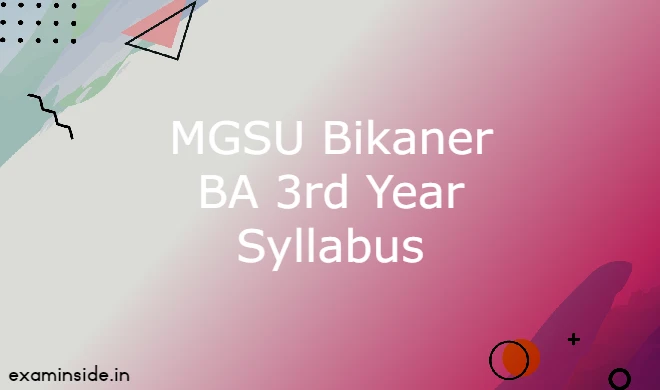 mgsu ba 3rd year syllabus
