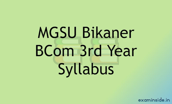 MGSU BCom 3rd Year Syllabus 2022