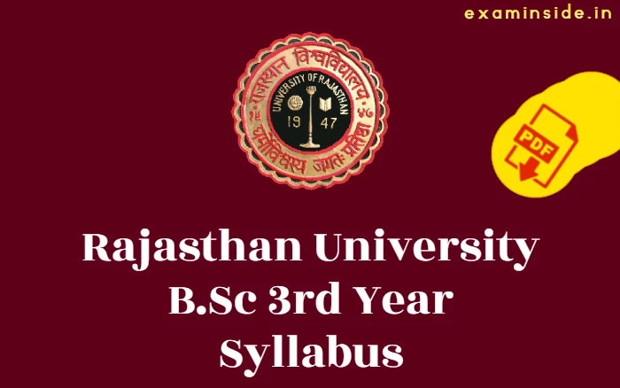 Rajasthan University BSc 3rd Year Syllabus 2023